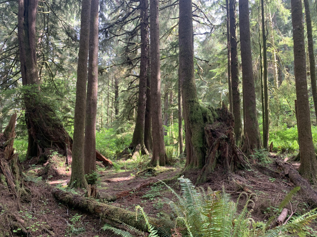 Circle Creek Conservation Center