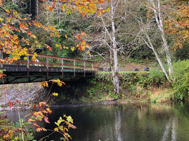 Fall Fun in Cannon Beach