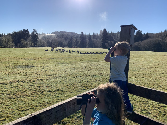 A little gem: the town of Jewell, on the way to Seaside & Cannon Beach, Oregon